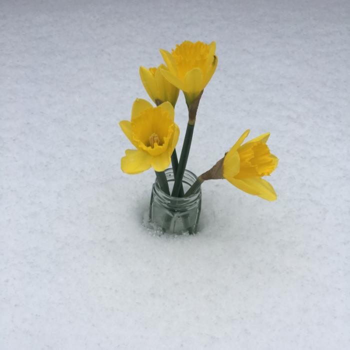 Paper update Snow Southgate
